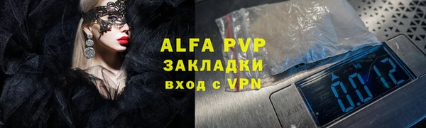 стафф Алексин