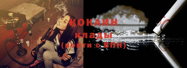 стафф Алексин