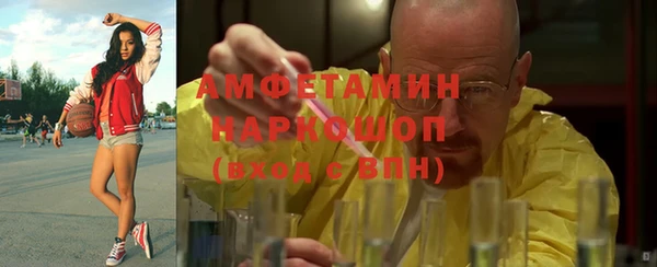 стафф Алексин